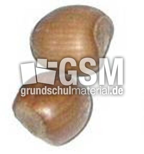 Haselnüsse-1x2.jpg